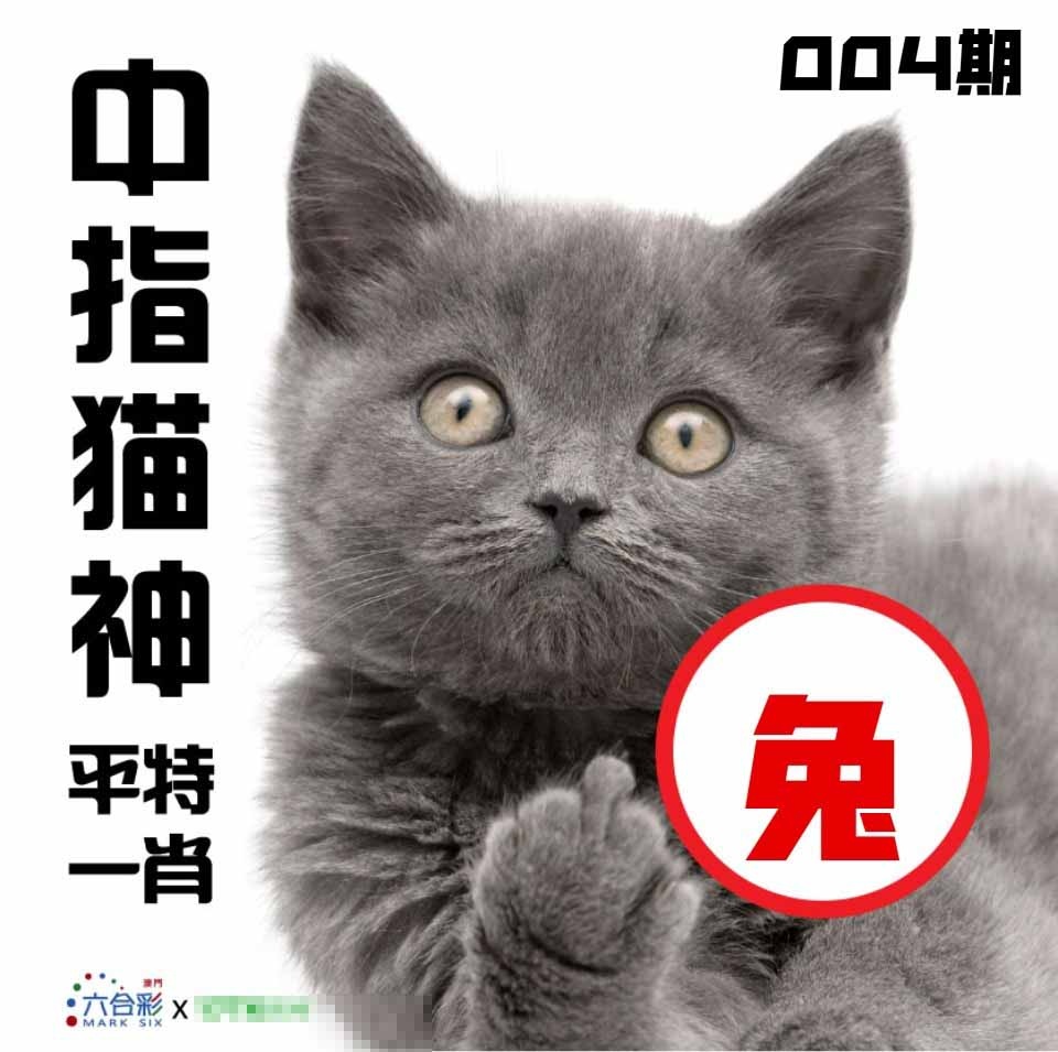 004期中指猫神[图]